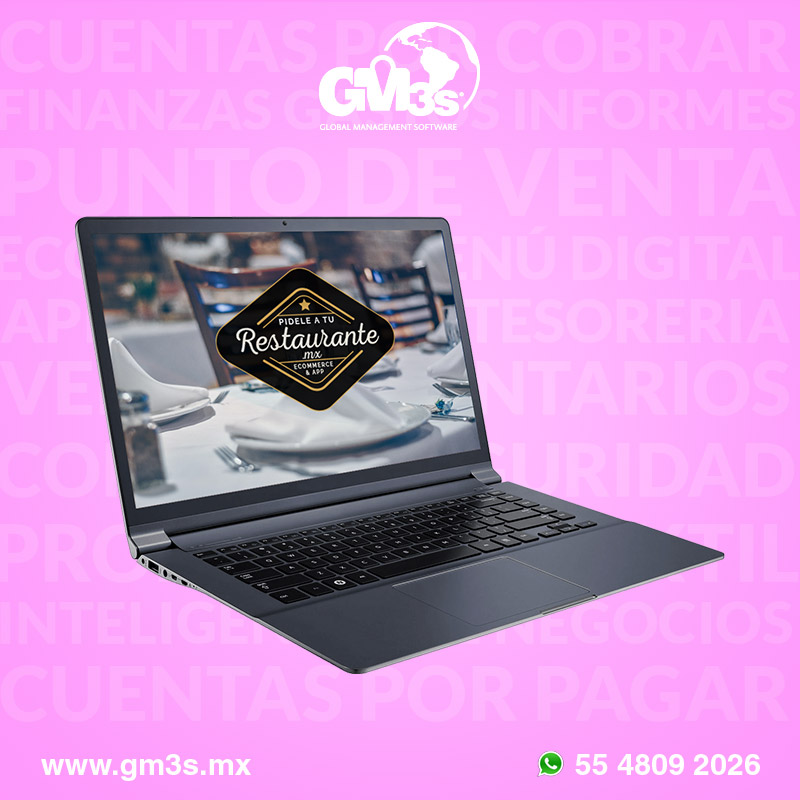 Módulo de Punto de Venta de GM3s Software ERP